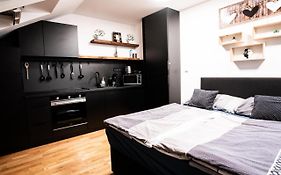 Exclusive Apartman Prague Jecna